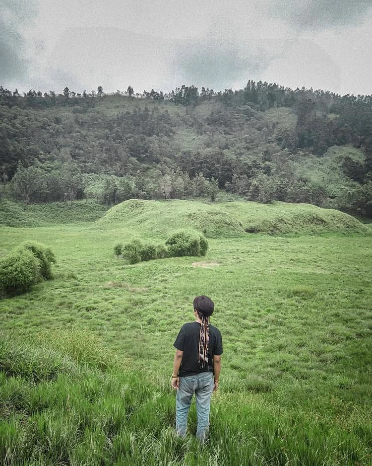 padang savana